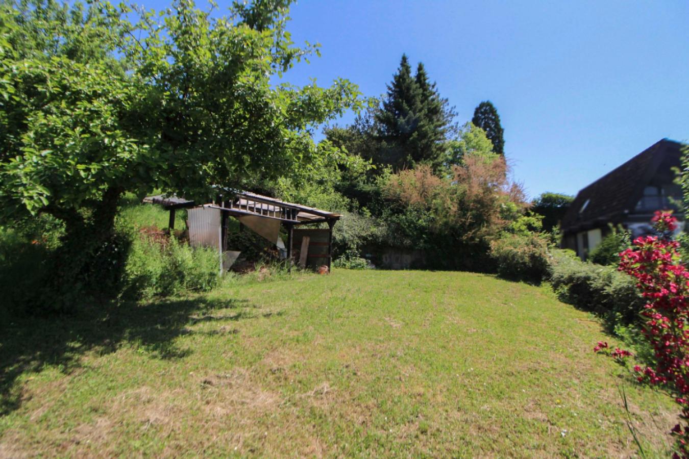 Garten_Rückseite_2
