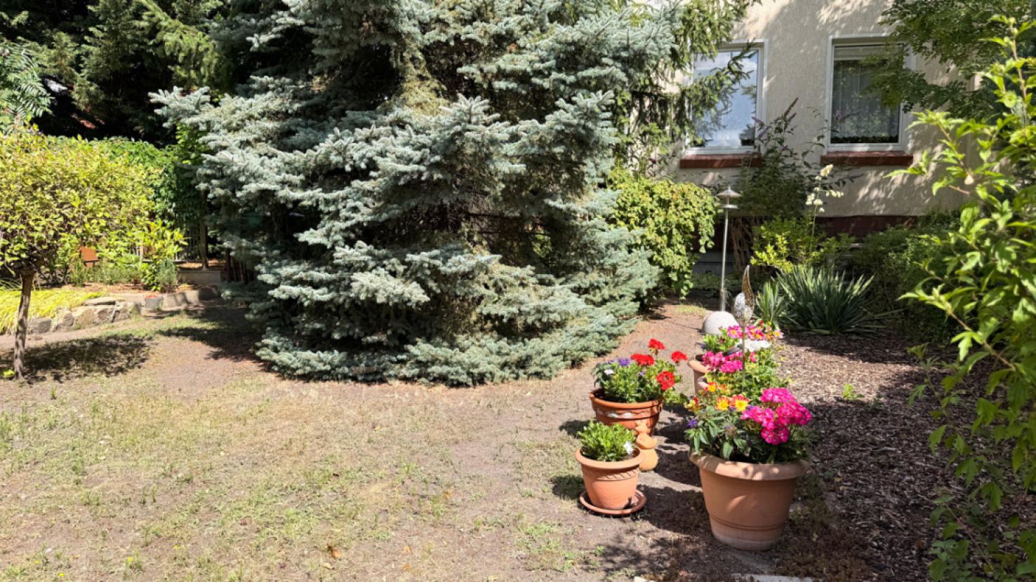Gemeinschaftsgarten