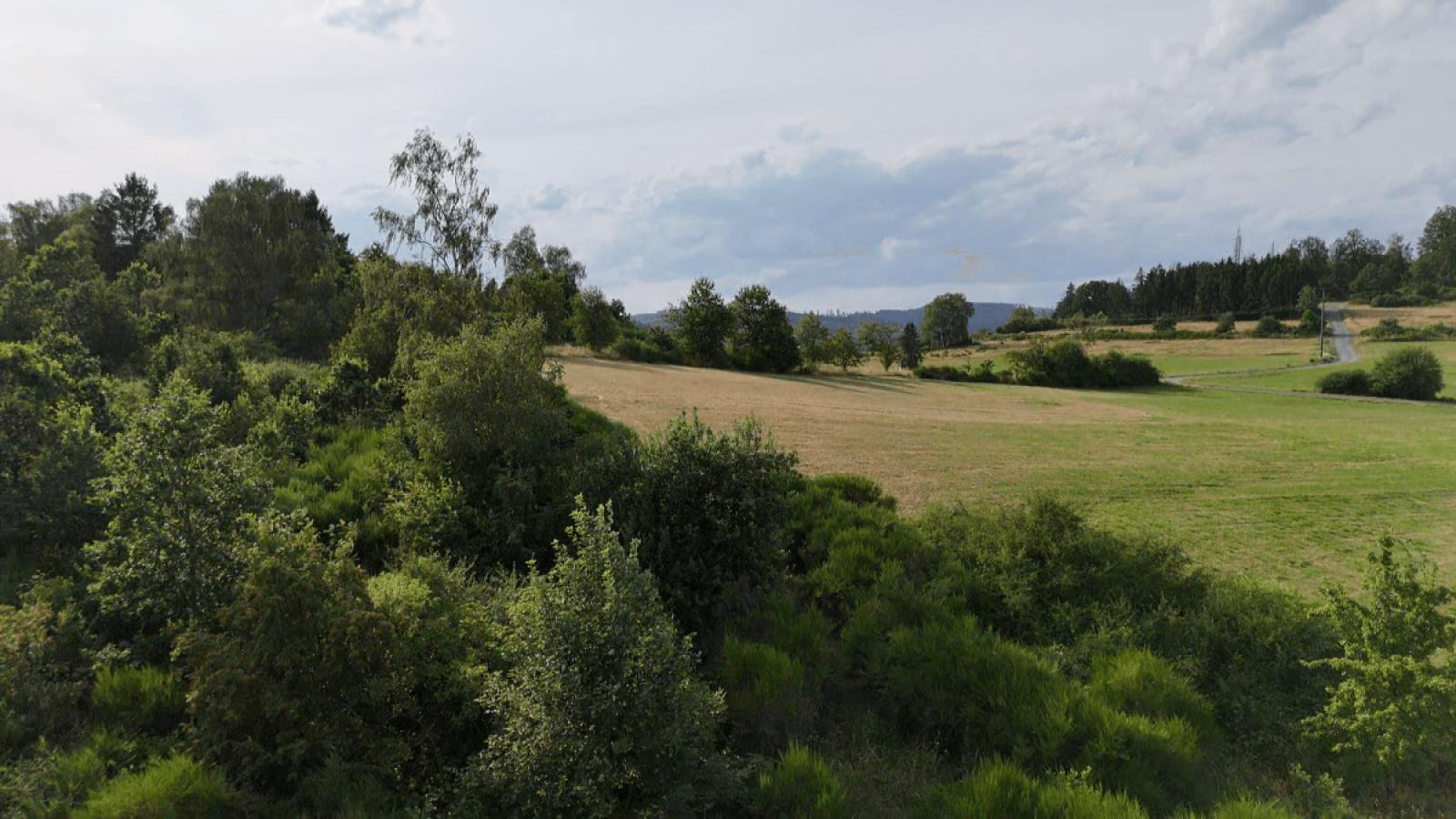 Aussicht hinten