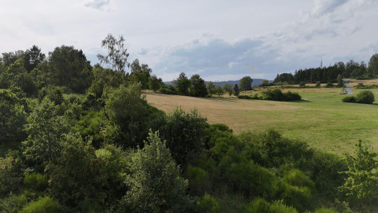 Aussicht hinten