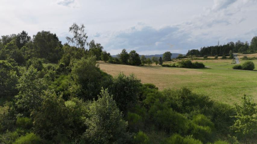 Aussicht hinten
