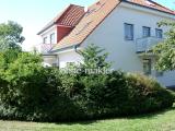 Haus