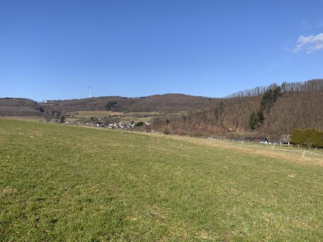 Wiese