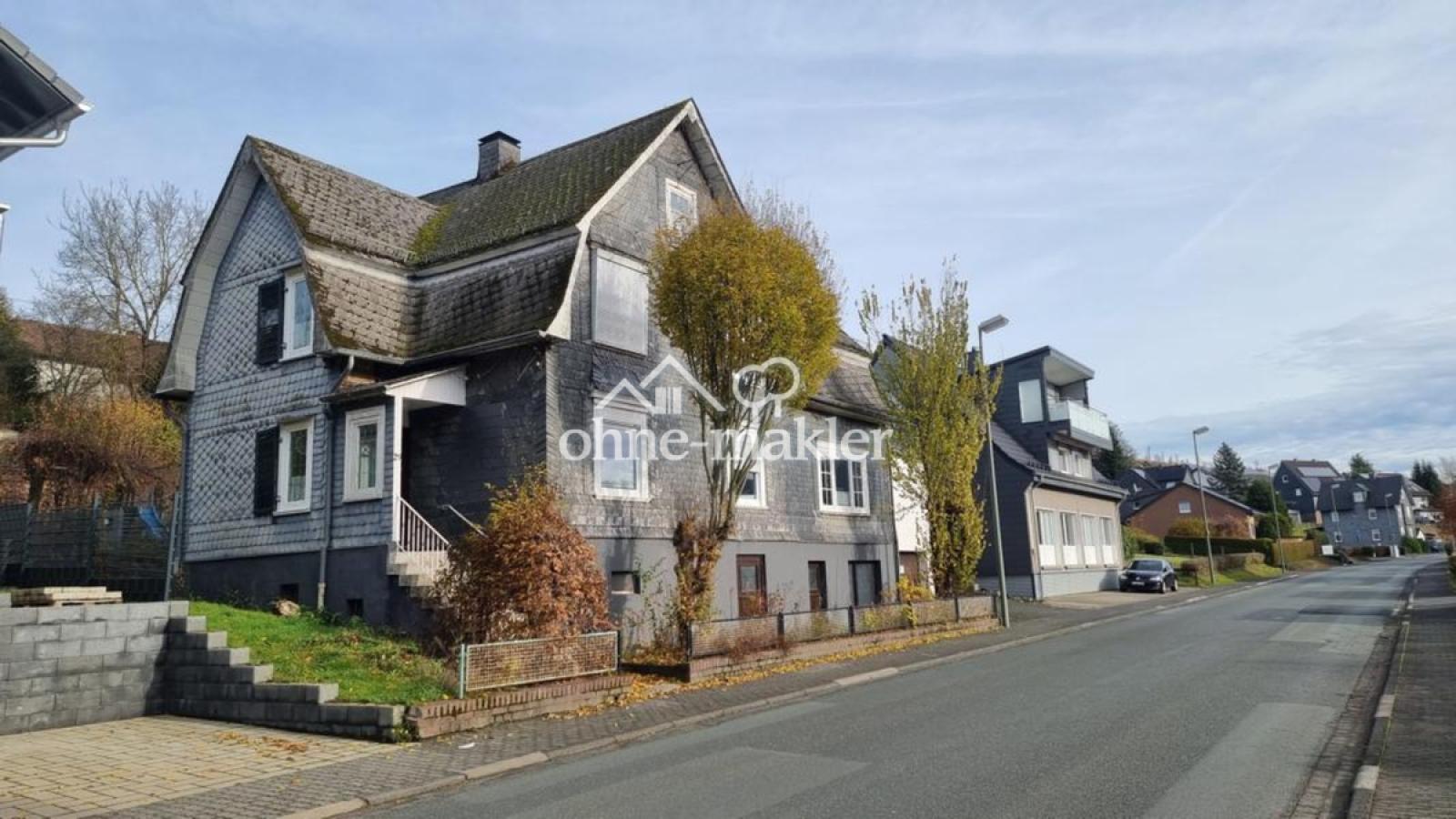 Vorderansicht 1