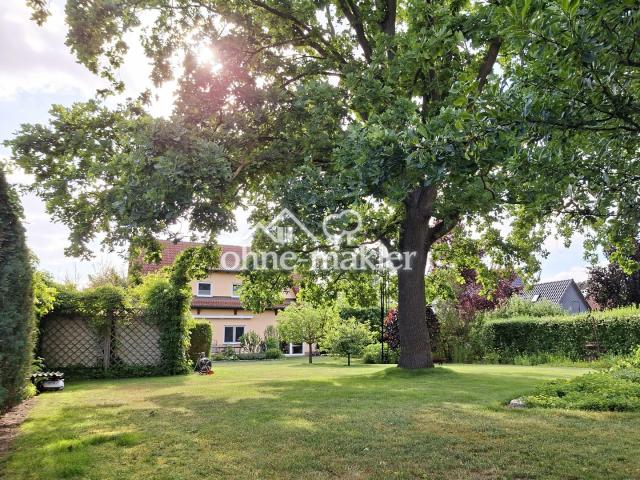 Blick aus dem Garten zum Haus