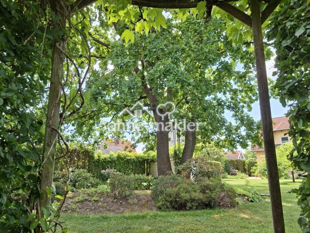 Blick vom Sitzplatz im Garten