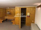 Sauna und Partykeller