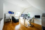 DG Studio