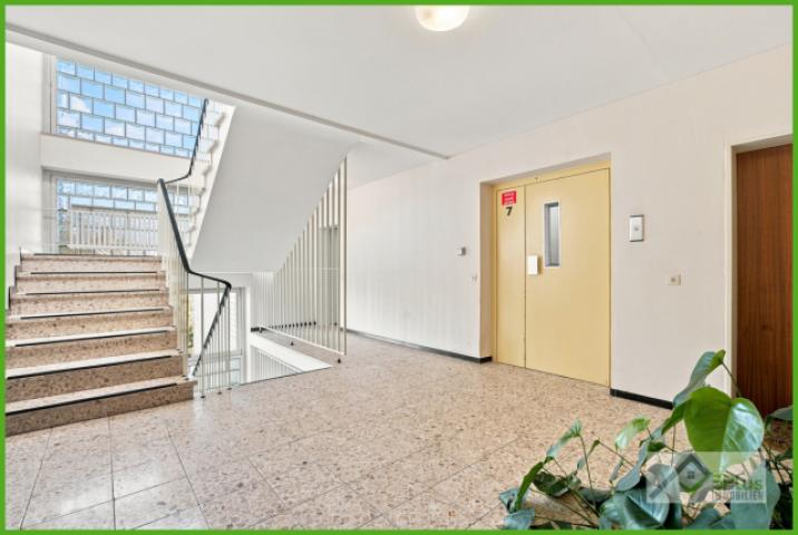 5Plus Immo Eigentumswohnung Aachen Walheim 