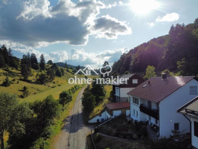 Blick ins Rossental
