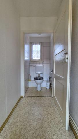 WC DG