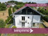Vorlage Startbild Normal Logo und Fenster living immo Farbe (16)