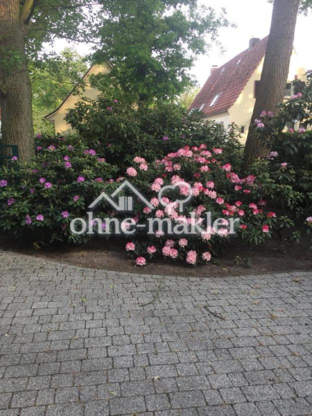 Hortensienhecke