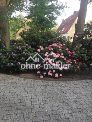 Hortensienhecke