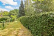 Garten hinter der Hecke