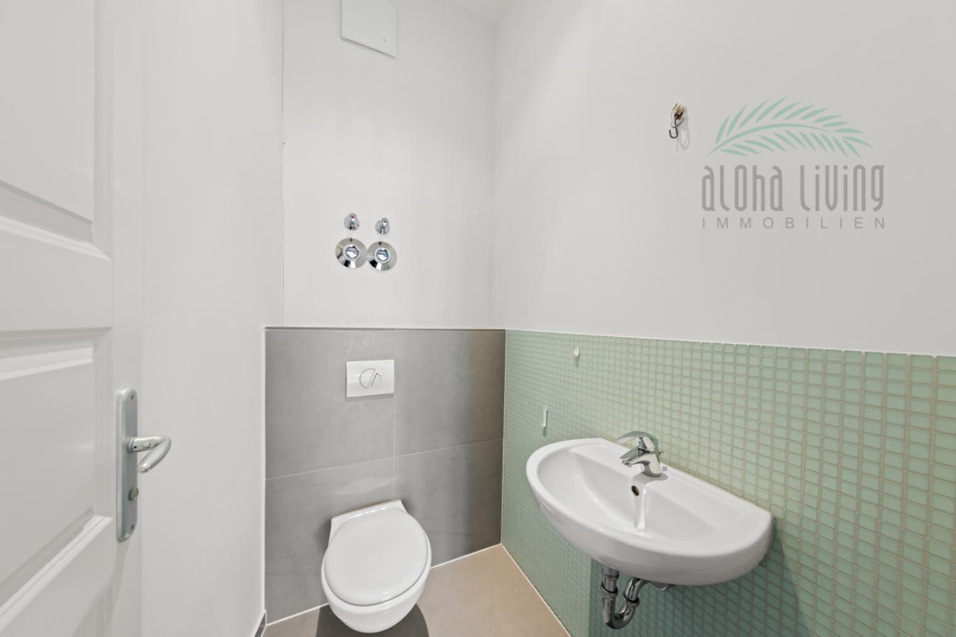 Guest toilet
