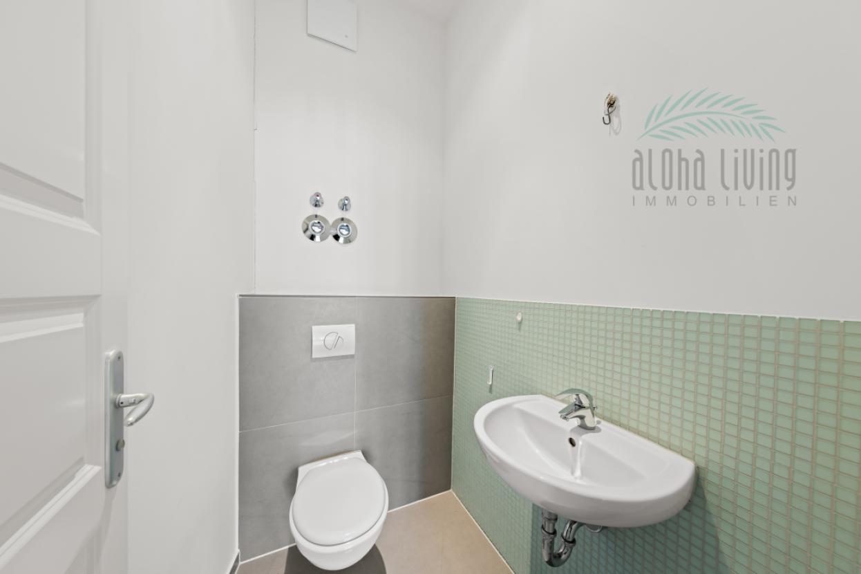 Guest toilet