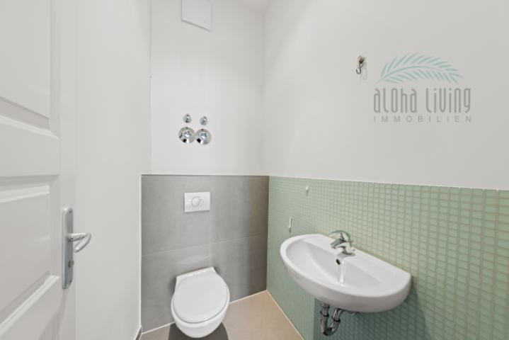 Guest toilet