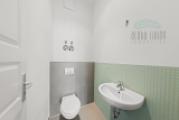 Guest toilet