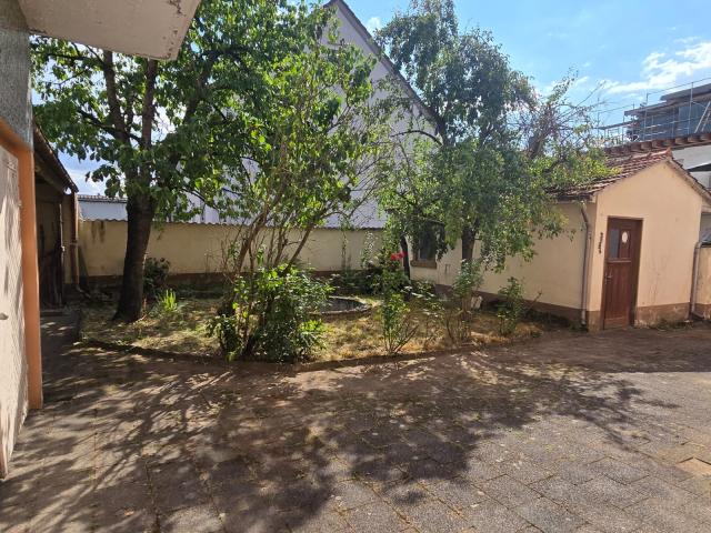 Innenhof mit kl. Gartenbereich