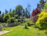 Garten mit Waldblick