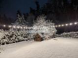 Garten im Schnee