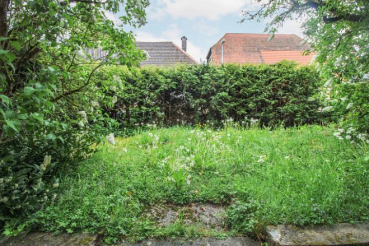 Garten Bild 2