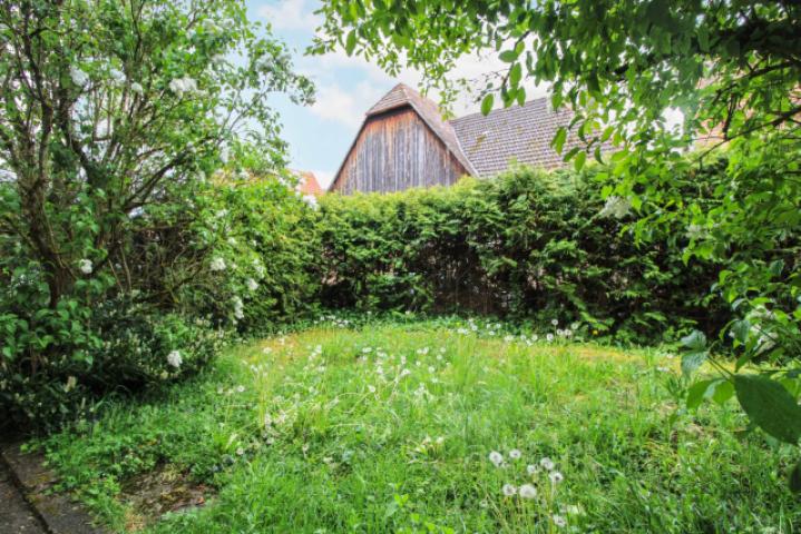 Garten Bild 1