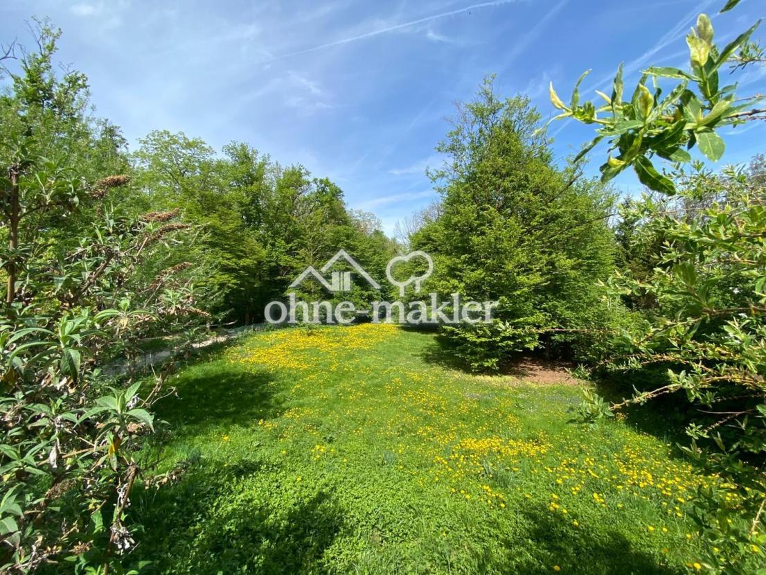 Aussicht in den Garten