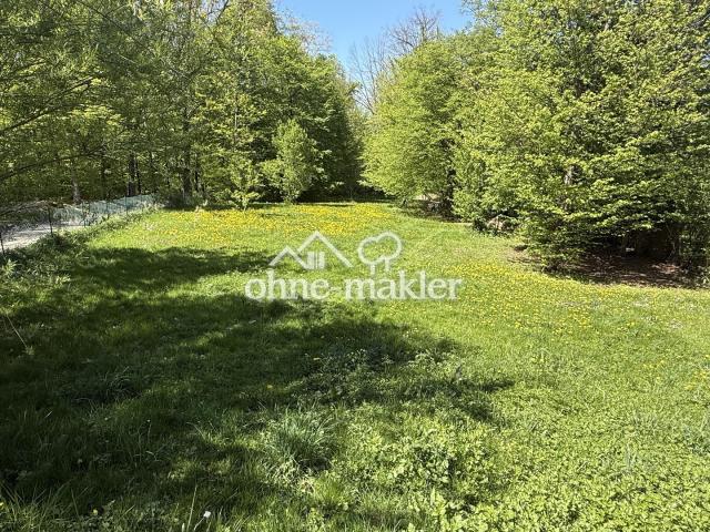 Grundstück 1770 m²