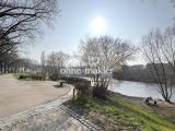 Saale-Ufer