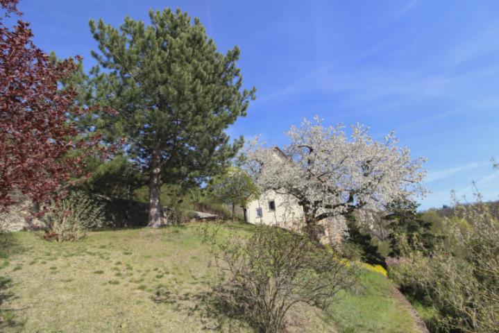 Gartenbereich rechts vom Haus