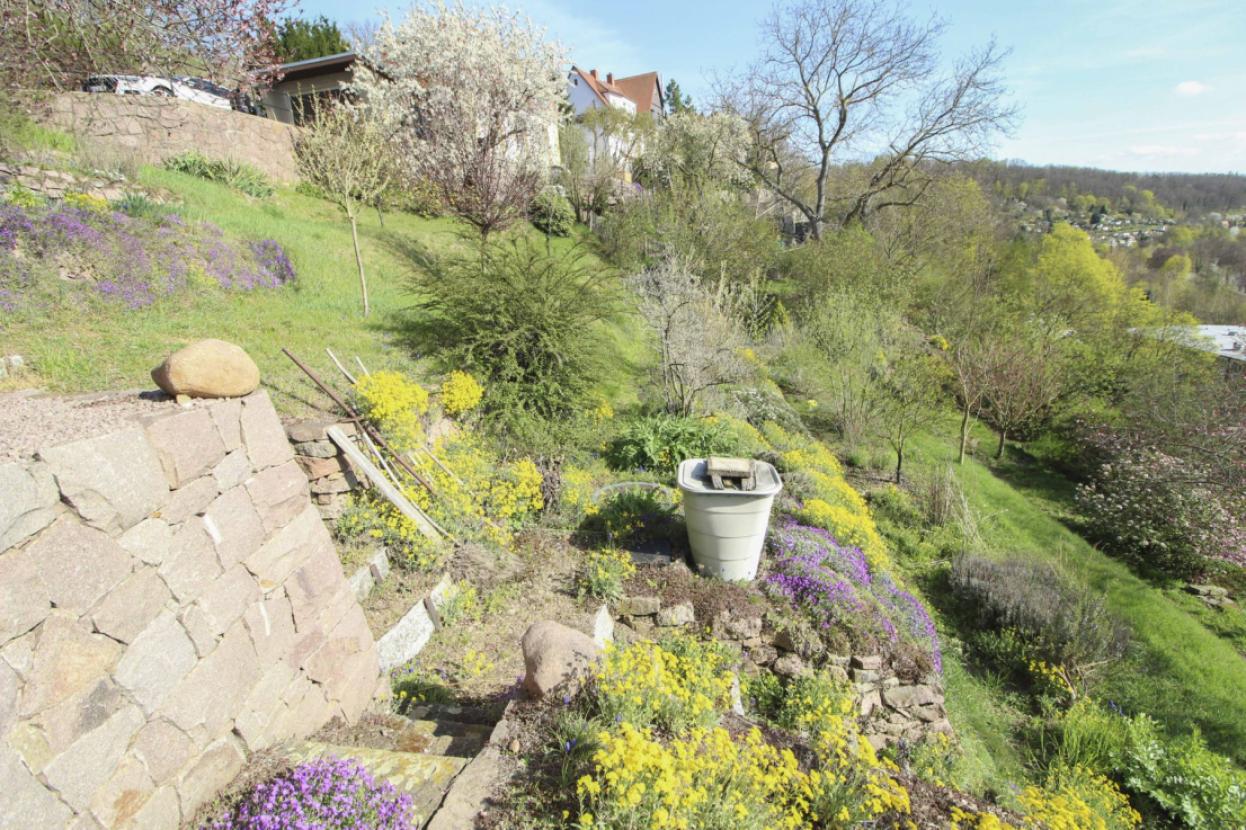 Gartenbereich links vom Haus