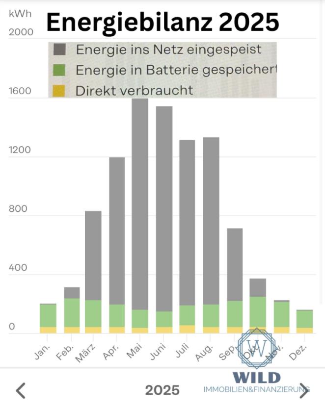 Ertrag Photovoltaik 2025