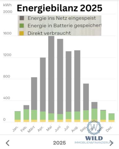 Ertrag Photovoltaik 2025