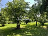 Gartenblick von Nordwest