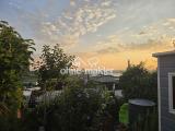 Aussicht vom Garten 