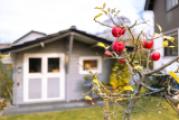 Schönes Gartenhaus
