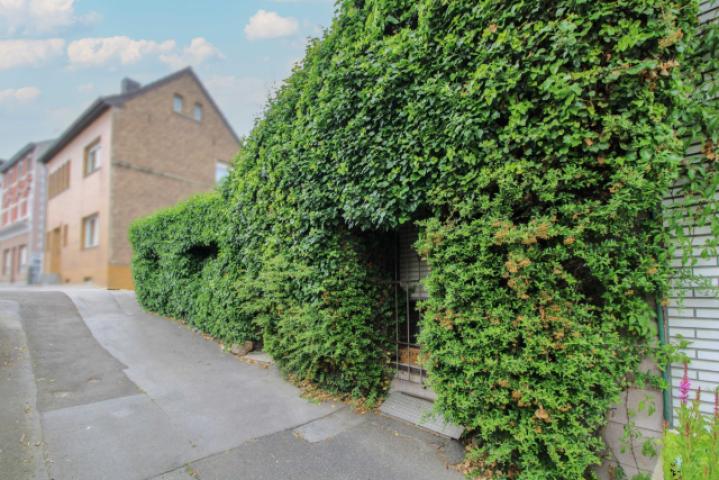Stark bewachsene Hausfront
