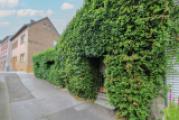 Stark bewachsene Hausfront