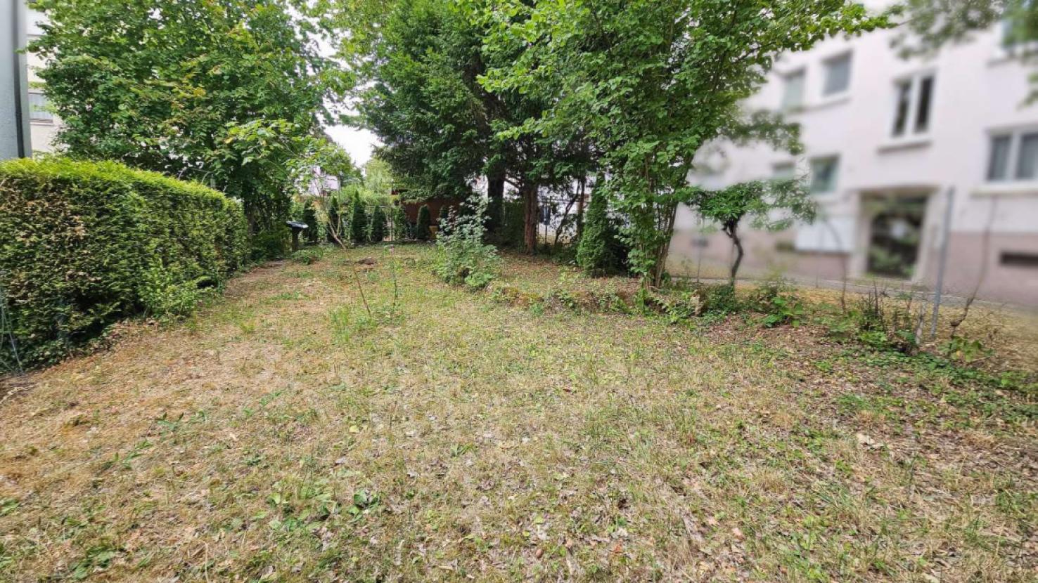 Garten hinter dem Haus 1