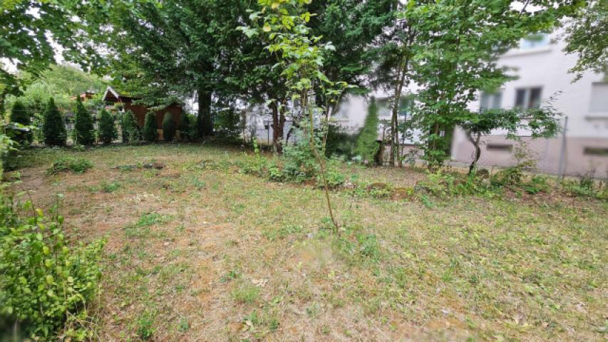 Garten hinter dem Haus