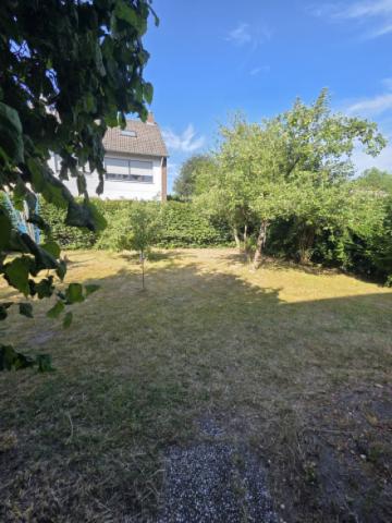 Garten1