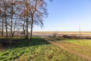 Blick zum Deich