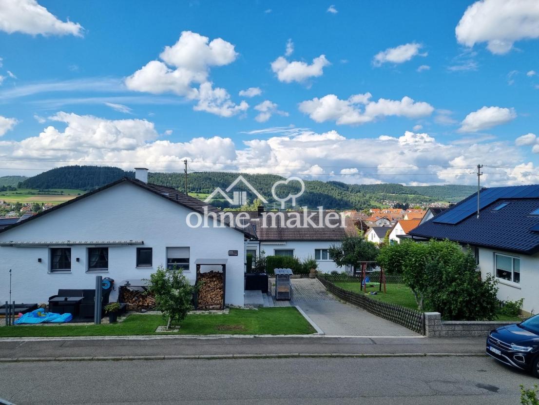 Aussicht über Nendingen