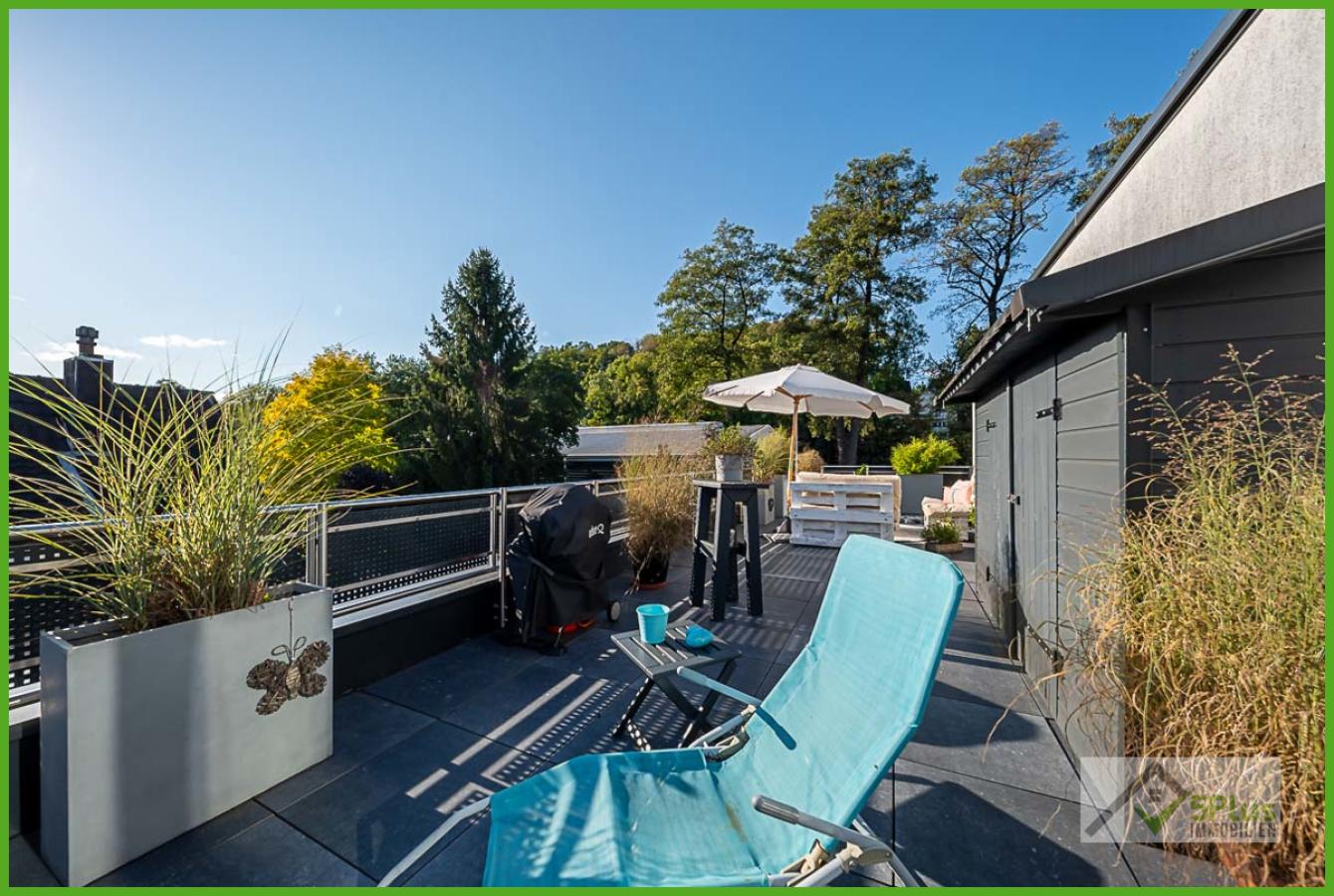 5Plus Immo Penthouse Langerwehe Dachterrasse