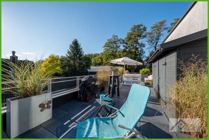 5Plus Immo Penthouse Langerwehe Dachterrasse