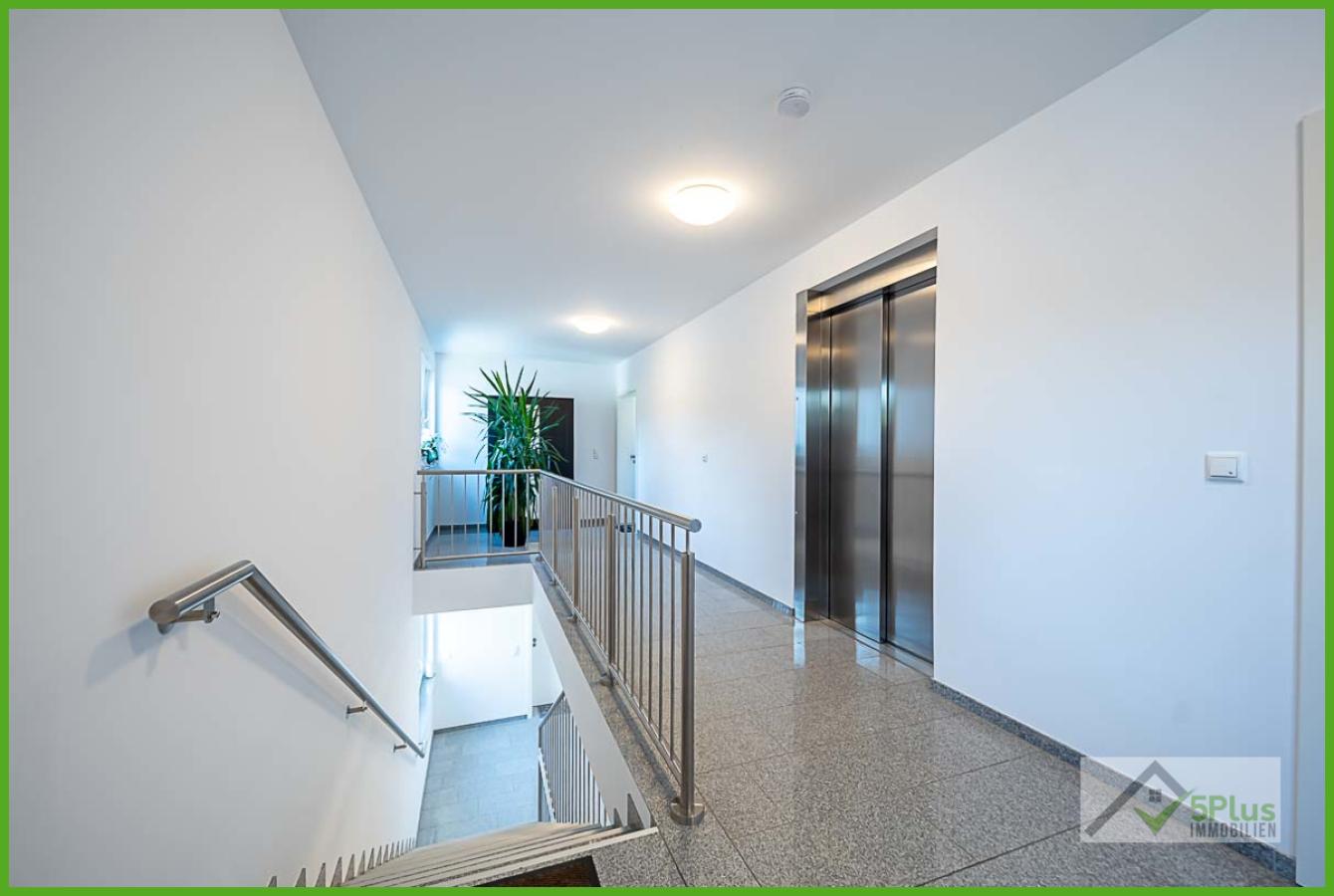 5Plus Immo Penthouse Langerwehe Treppenhaus