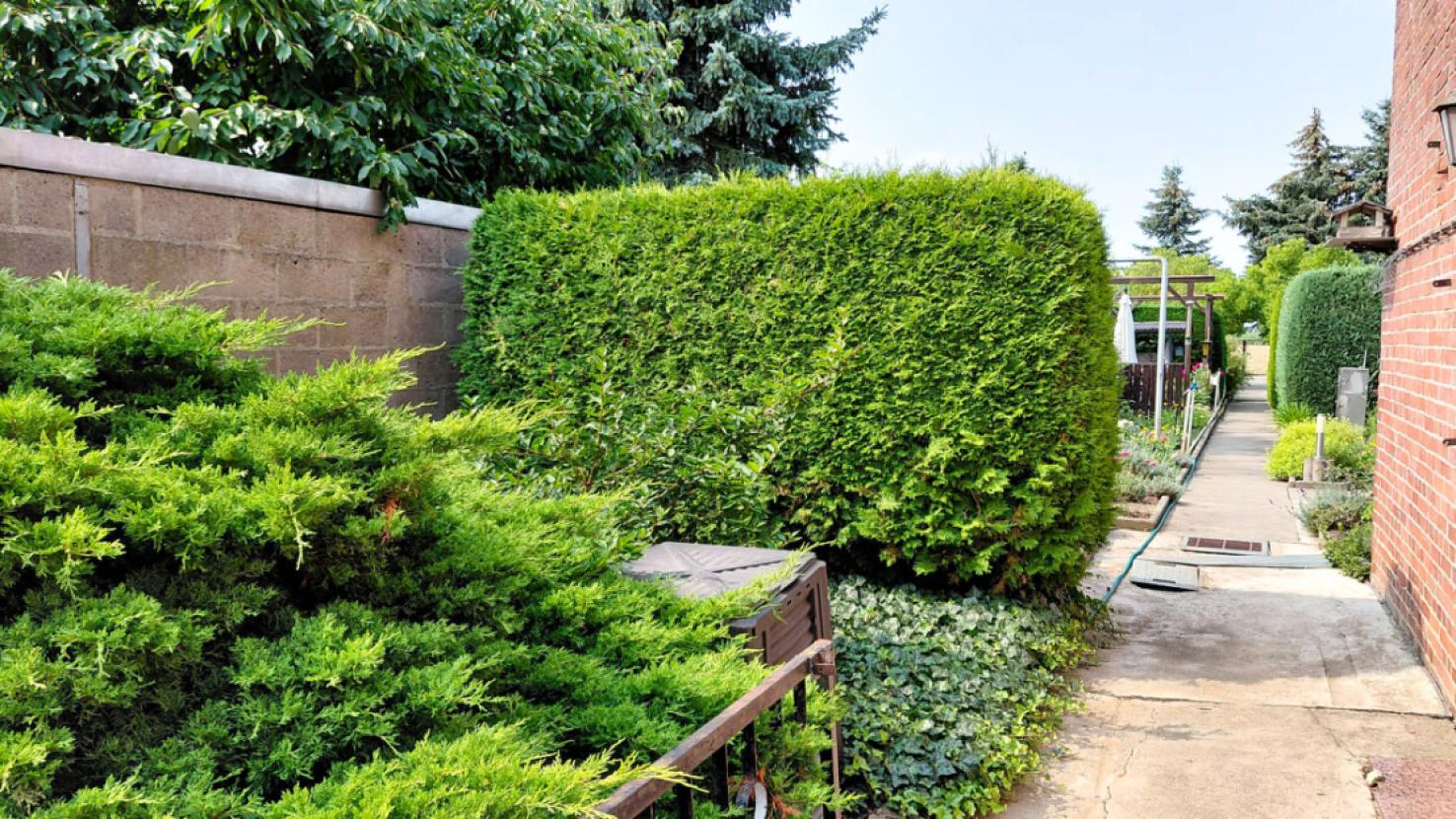 Zugang Garten