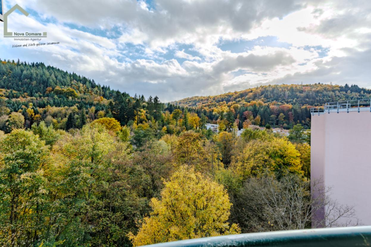 Blick ins Grüne